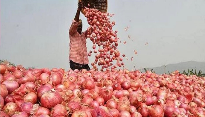 कांद्याचा प्रश्न पेटलाच कसा! शेतकऱ्यांच्या संपापासून केंद्राच्या निर्णयापर्यंत; वाचा, नेमकं काय घडलं!