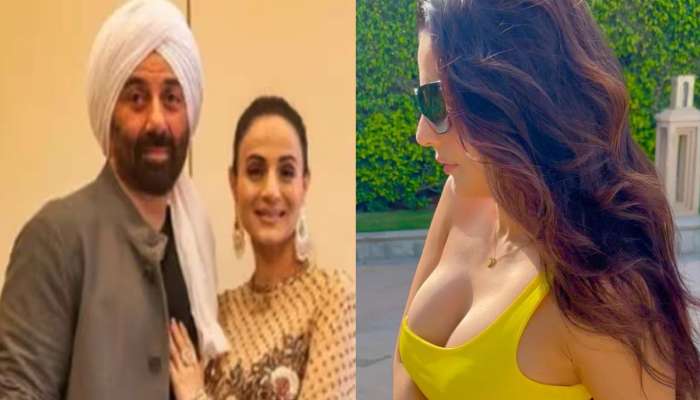 'सेक्शुअली इंटीमेट सीन्स, आई-बहिणीवरून शिवीगाळ...', 'गदर 2' फेम अमीषा पटेल ट्रोल