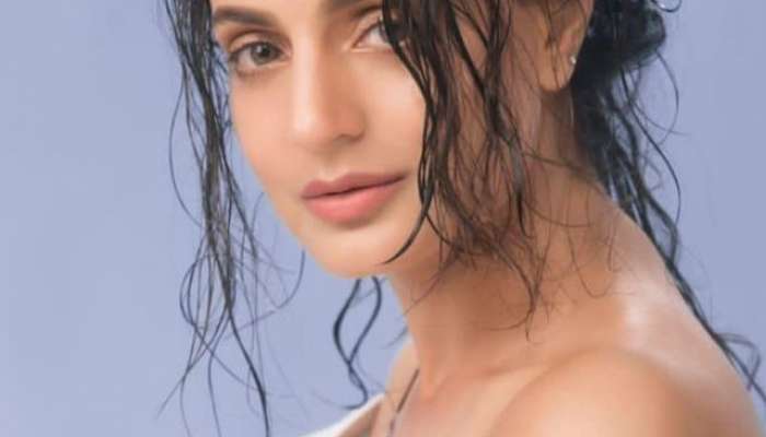 ameesha patel, ameesha patel husband, ameesha patel real husband, sakina husband, ameesha patel husband name, entertainment, entertainment news, bollywood, bollywood news, ameesha patel never married, 