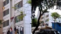 मुंबईत गॅलेक्सी हॉटेलमध्ये भीषण आग, तिघांचा होरपळून मृत्यू