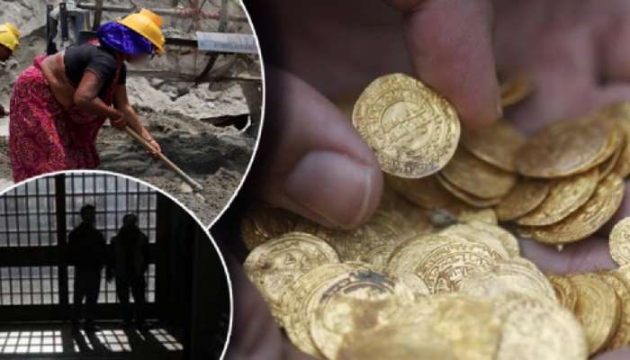 खोदकामात मजुरांना 240 सोन्याची नाणी सापडली; 4 पोलिसांनाच झाली अटक कारण...