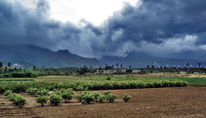 Maharashtra Rain : मध्य महाराष्ट्रासह कोकणात विजांच्या कडकडाटात पावसाची शक्यता, उर्वरित भागात काय परिस्थिती? 