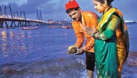 नारळी पौर्णिमा आणि समुद्राचं काय नातं? समजून घ्या या सणाचा अर्थ आणि त्यामागचं कारण