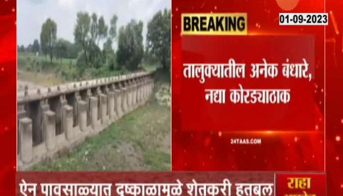 Solapur Farmers In problem For no water In Dams And Cannal For No Rain 