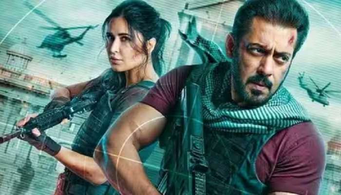 सलमान खानही 'गदर' करण्यासाठी सज्ज! 'टायगर 3'चं पोस्टर रिलीज 
