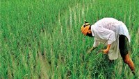 संयुक्त किसान मोर्चाच्या महाराष्ट्र राज्य शाखेचे मुंबईत स्थापना संमेलन