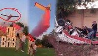 Gender Reveal Party मध्ये कोसळलं विमान! धक्कादायक Video पाहुण्यांच्या कॅमेरात कैद