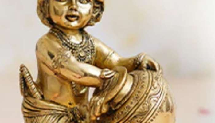 Janmashtami 2023 Do this work on Shri Krishna Janmashtami you will become rich