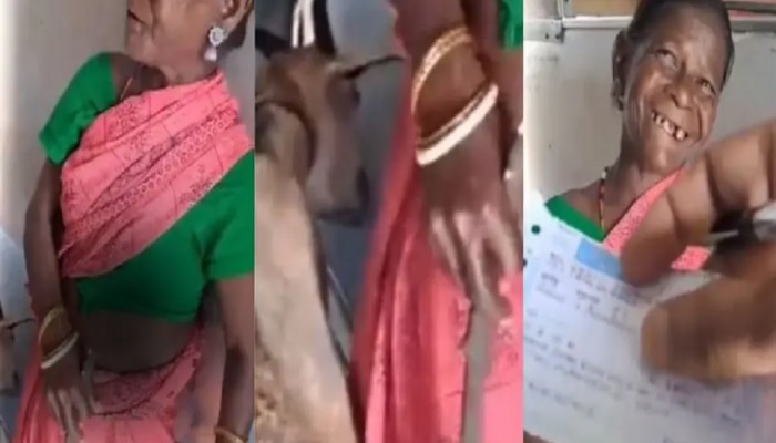 VIDEO : विनातिकीट प्रवास करणाऱ्यांच्या जमान्यात बकरीचंही तिकीट काढणारी हीच &#039;ती&#039; माऊली!