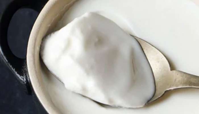 kitchen tips to cure sour curd easy tricks and hacks in marathi 