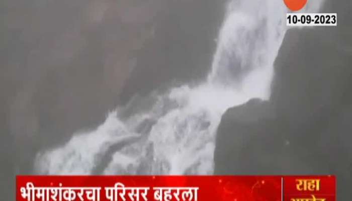 Bhimashankar  Waterfall report 