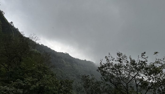 Maharashtra Rain : काळ्या ढगांचं सावट, मुसळधार पाऊस; पाहा तुमच्या भागात कसे असतील पावसाचे तालरंग 