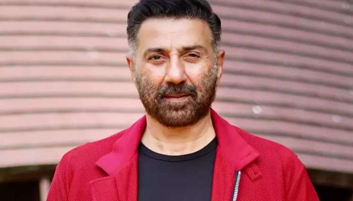 संसदेत अनेकदा दांडी मारणारा सनी देओल राजकारणाविषयी असं का म्हणाला? 'गदर 2' नंतर पुन्हा त्याचीच चर्चा
