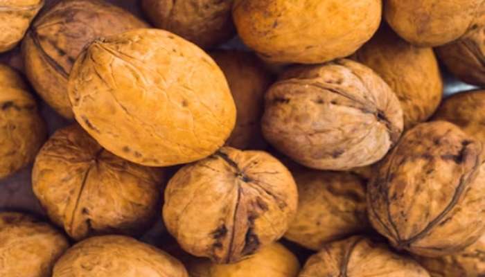 health News Benefits of eating soaked walnuts