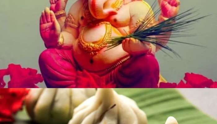 Ganeshotsav 2023 : गणेशोत्सवादरम्यान घरच्या घरी बनवा 'या' सोप्या मिठाई