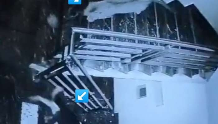 कुत्र्याच्या मागून दबक्या पावलाने बिबट्या चालत आला अन्...; VIDEO पाहून अंगावर काटा येईल