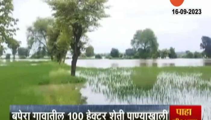 Bhandara Rice Crop Damage due to River Water Enters Farm