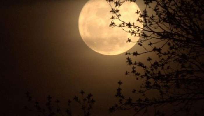 Ganesh Chaturthi 2023 Why moon seen inauspicious in Ganeshotsav know reason