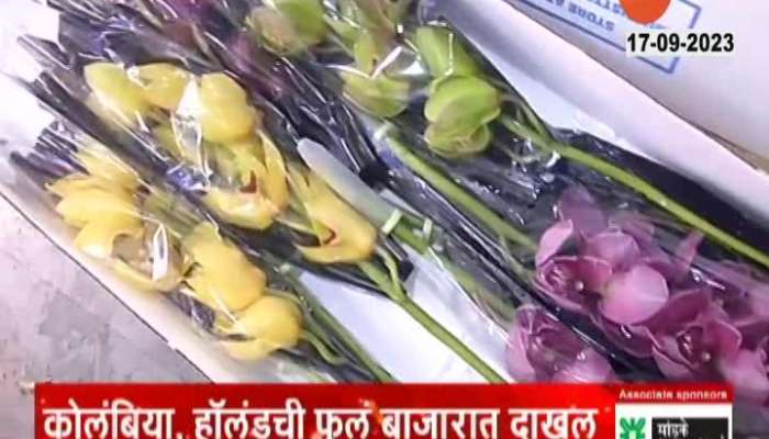 Mumbai Dadar Flower Market Imported Flower Demand In Ganesh Utsav 