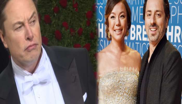 गुगल Co- Founder च्या पत्नीचं Elon Musk शी अफेअर? पतीपासून काडीमोड घेत धरली वेगळी वाट 