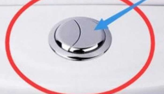 Toilet Flush fact know how this two flush button work in toilet 