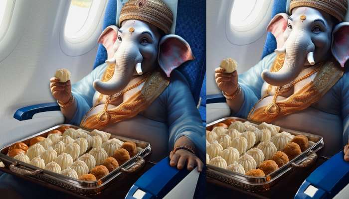  Indigo च्या विमानातून आला गणपती; विंडो सीटला बसलेल्या बाप्पा चा फोटो व्हायरल 