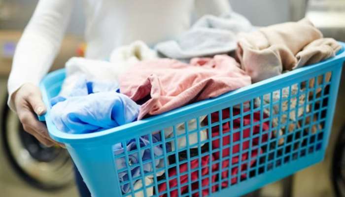 Washing Machine Tips: इतर कपड्यांसोबत कधीच धुवू नका अंडरगार्मेंट्स