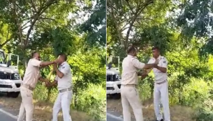 लाथा-बुक्क्या, दांडक्याने मारहाण! दोन पोलीस कर्मचाऱ्यांमध्ये भररस्त्यात 'दे दणादण' Video व्हायरल