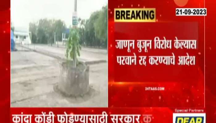 Maharashtra Govt To Take Strict Steps For Nashik Onion Traders Strike
