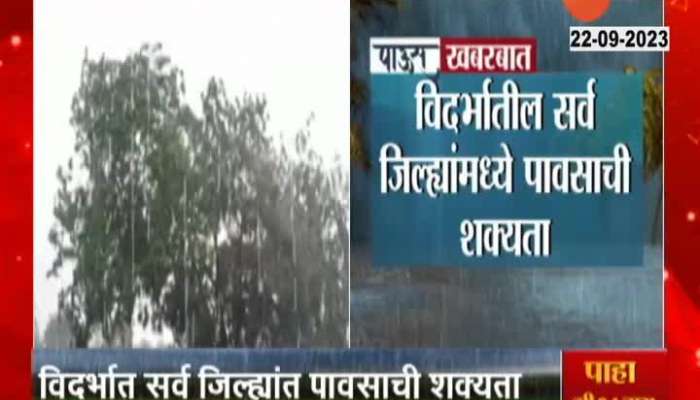 maharashtra rain updates and yellow alert for vidarbha latest news