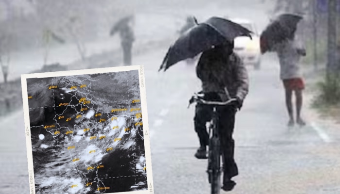 Pune Rain News : पुणे शहरात मुसळधार पाऊस, पुढील 5 दिवसांसाठी अलर्ट जारी; &#039;या&#039; भागांना झोडपलं!