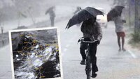 Pune Rain News : पुणे शहरात मुसळधार पाऊस, पुढील 5 दिवसांसाठी अलर्ट जारी