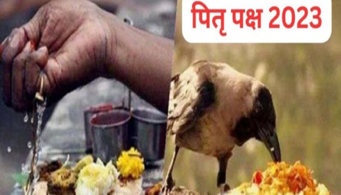 Pitru Paksha 2023 : पूर्वजाचं देहावसान कोणत्या तिथीला झालं माहित नाहीये? 'या' 3 दिवशी करा श्राद्ध विधी