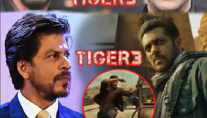 Shah Rukh Khan hints at a cameo in Salman Khan Tiger 3