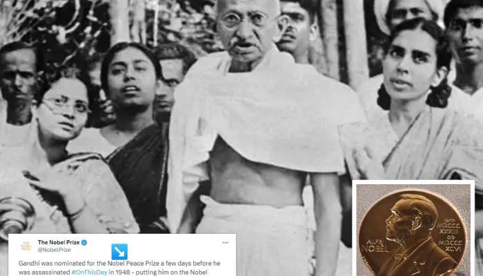 महात्मा गांधींना कधीच शांतता नोबेल पुरस्कार का मिळाला नाही? समोर आलं खरं कारण