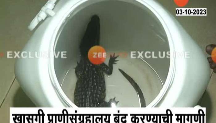 MNS Sandip Deshpande On Crocodile Foud In Swimming Pool 
