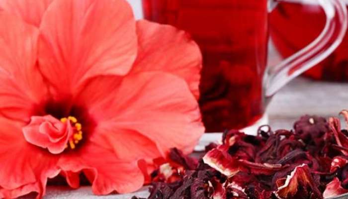  Benefits OF Hibiscus Tea