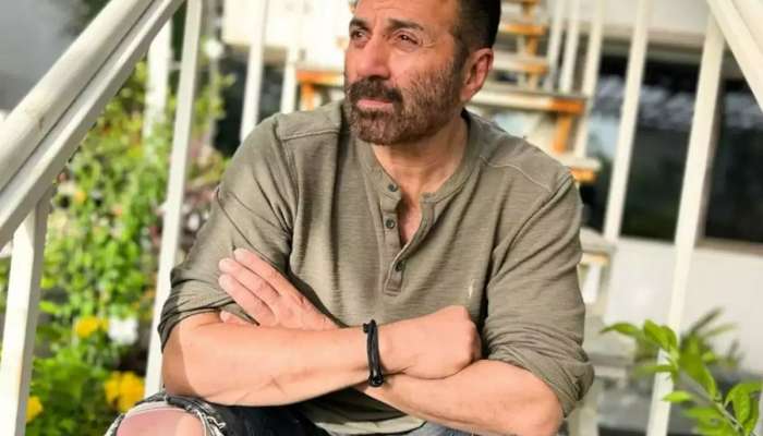 'गदर 2'नंतर सनी देओलला लागली सिनेमांची लॉटरी; एक नव्हे तर अनेक सिनेमात झळकणार अभिनेता