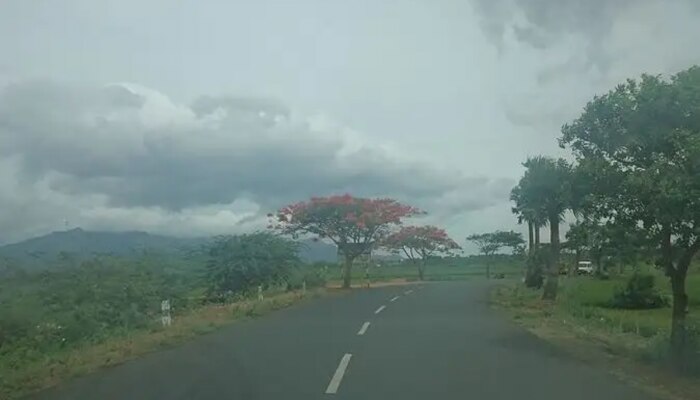 Weather Update : मान्सूनची माघार, राज्यात उन्हाच्या झळा; देशात चाहूल देतोय हिवाळा 