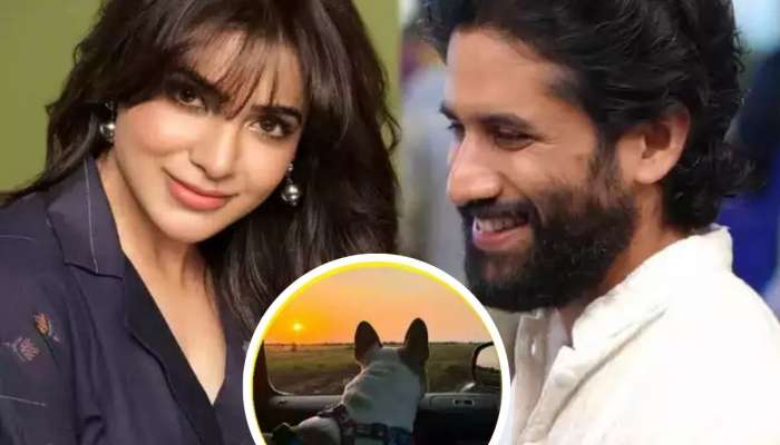 पुन्हा एकत्र आले समांथा आणि नागा चैतन्य? अभिनेत्यानं शेअर केलेल्या 'त्या' फोटोमुळे चर्चांना उधान