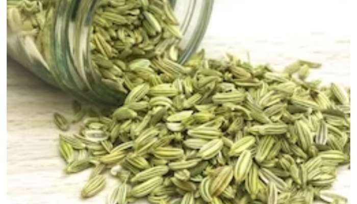 Health benefits of fennel seeds badishep in marathi 