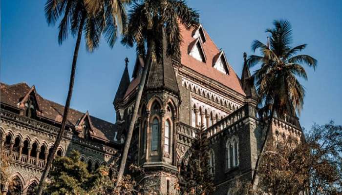 'महिलांनी तोकडे स्कर्ट घालणं, उत्तेजक हातवारे करत नाचणं म्हणजे अश्लीलता नाही' मुंबई हायकोर्टाचा महत्वपूर्ण निर्वाळा