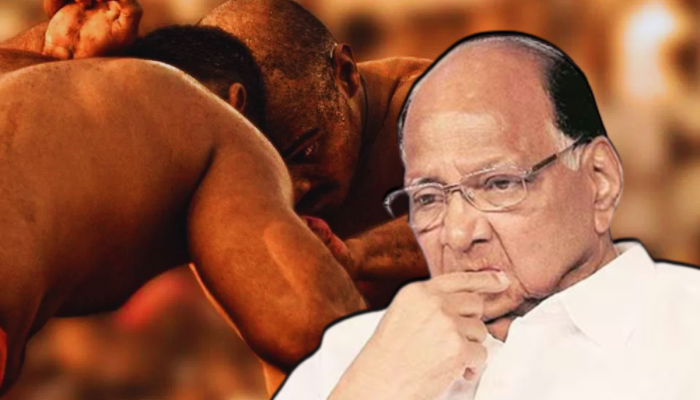 कुस्तीच्या मैदानातही शरद पवारांना धोबीपछाड; प्रमुख पाहुणे म्हणून भाजपच्या 'या' बड्या नेत्याला स्थान!