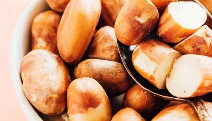 health tips benefits of jackfruit seed in marathi 