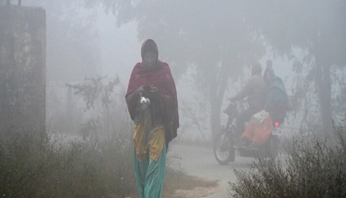 Weather Updates : उत्तर भारतात थंडीची चाहूल, महाराष्ट्रात मात्र प्रचंड उकाडा; पाहा हवामान वृत्त 