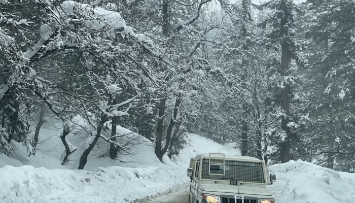 Kashmir Snowfall : अवघ्या काही तासांच्या हिमवृष्टीनं काश्मीर बहरलं; Photo पाहून आताच तिथं जाण्याचे बेत आखाल 