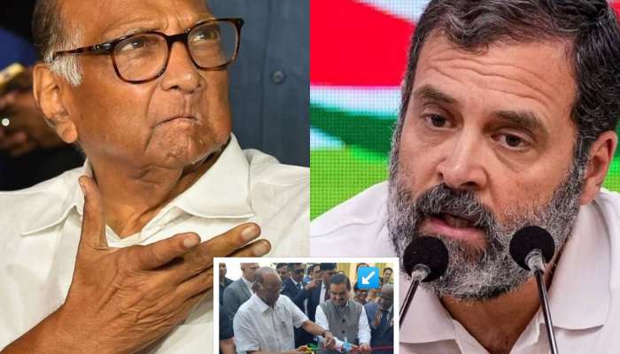 'शरद पवार देशाचे पंतप्रधान नाहीत,' राहुल गांधींचं मोठं विधान; म्हणाले 'उद्या जर त्यांनी गौतम अदानींना...'