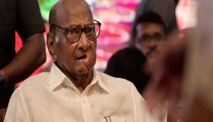 'किमान आता तरी आधी देशाचा विचार करा'; पॅलेस्टाईन समर्थनावरुन शरद पवार यांना केंद्रीय मंत्र्यांचा टोला