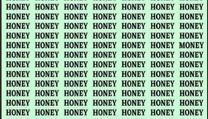 HONEY मध्ये दडलाय MONEY; टॅलेंटेड असणारेच बरोबर शब्द शोधून काढतील    