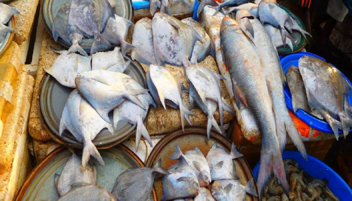 मत्स्यप्रेमी खवय्यांसाठी Bad News! लवकरच मांदेली, खेकड्यांसह 'या' प्रजाती...
